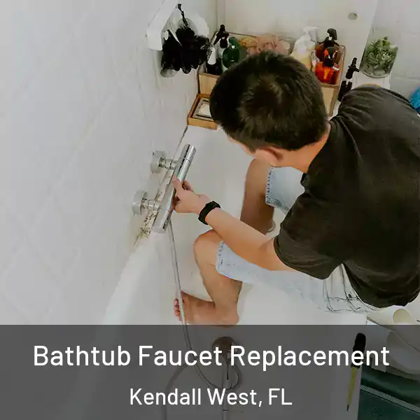  Bathtub Faucet Replacement Kendall West, FL