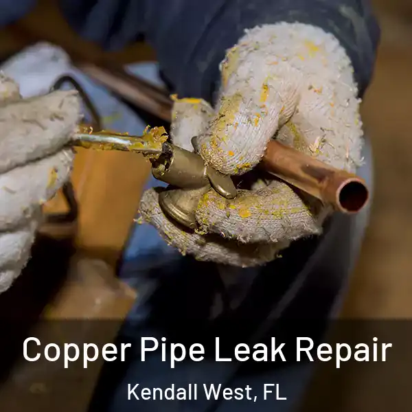  Copper Pipe Leak Repair Kendall West, FL