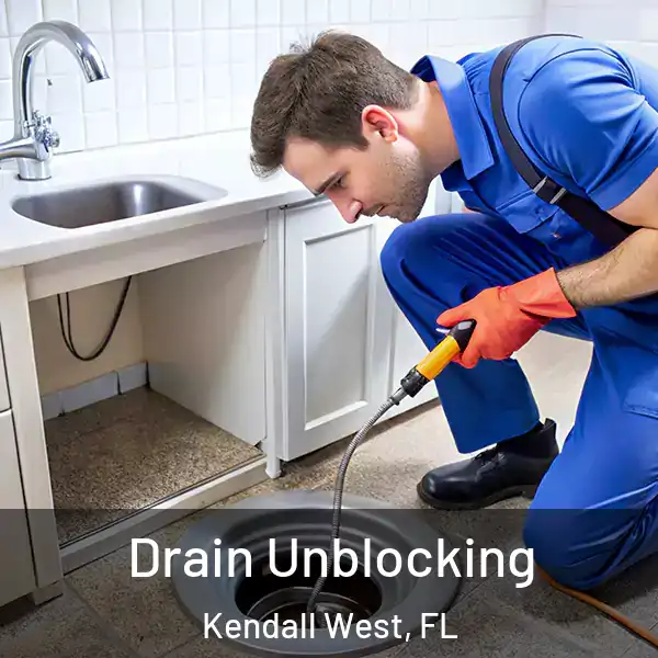  Drain Unblocking Kendall West, FL