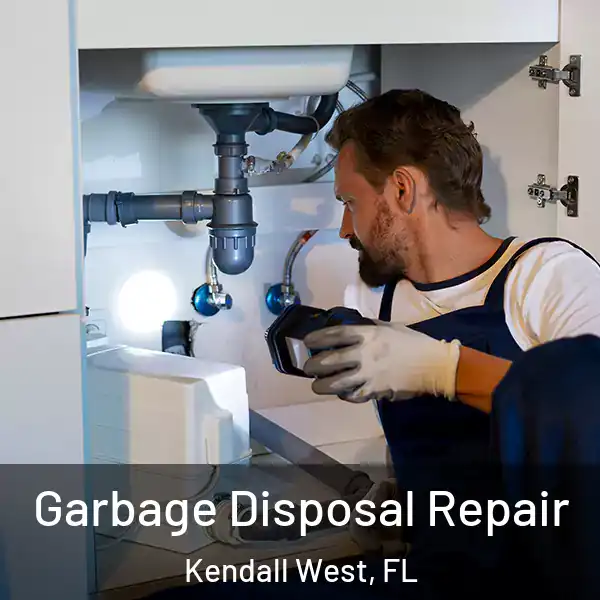  Garbage Disposal Repair Kendall West, FL