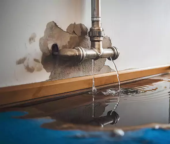 Professional Water Damage Restoration Experts in Kendall West, FL — Fast, Reliable & Certified