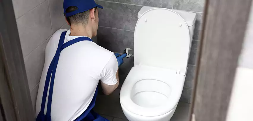 Toilet Lid Replacement in Kendall West