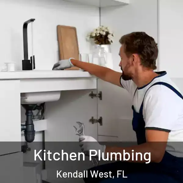  Kitchen Plumbing Kendall West, FL