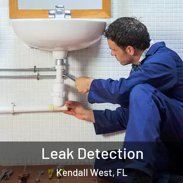  Leak Detection Kendall West, FL