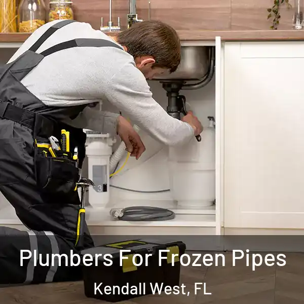  Plumbers For Frozen Pipes Kendall West, FL