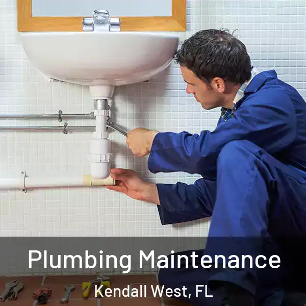  Plumbing Maintenance Kendall West, FL