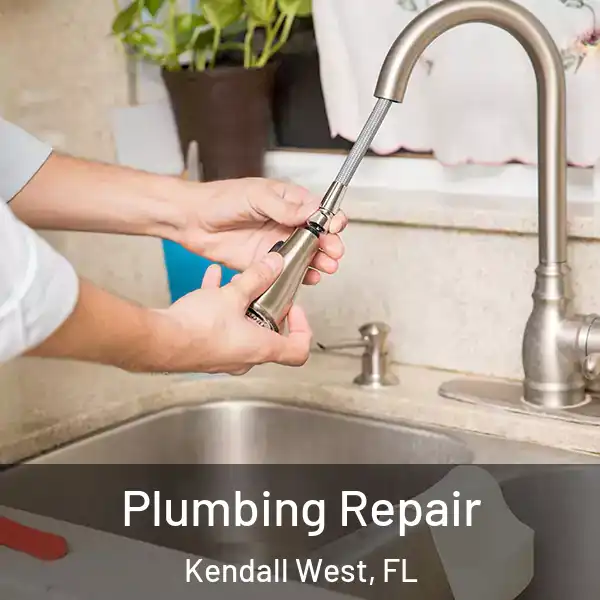  Plumbing Repair Kendall West, FL