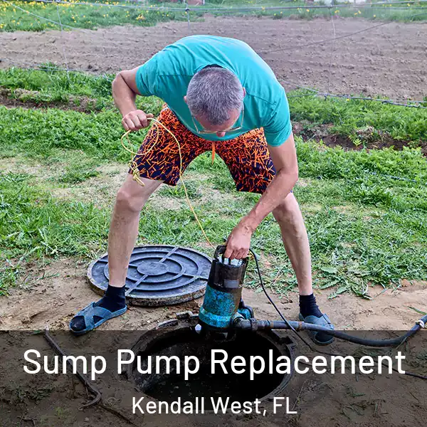  Sump Pump Replacement Kendall West, FL