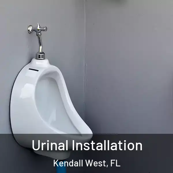  Urinal Installation Kendall West, FL