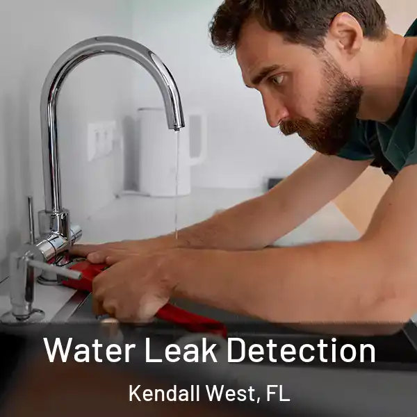  Water Leak Detection Kendall West, FL